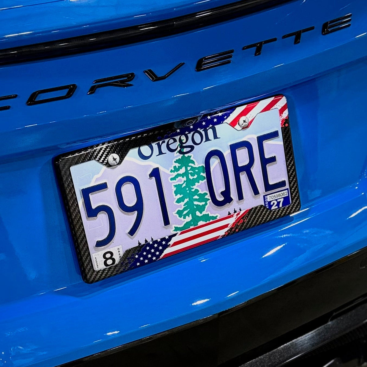 United States Carbon Fiber Plate Frame | Elite Nations™