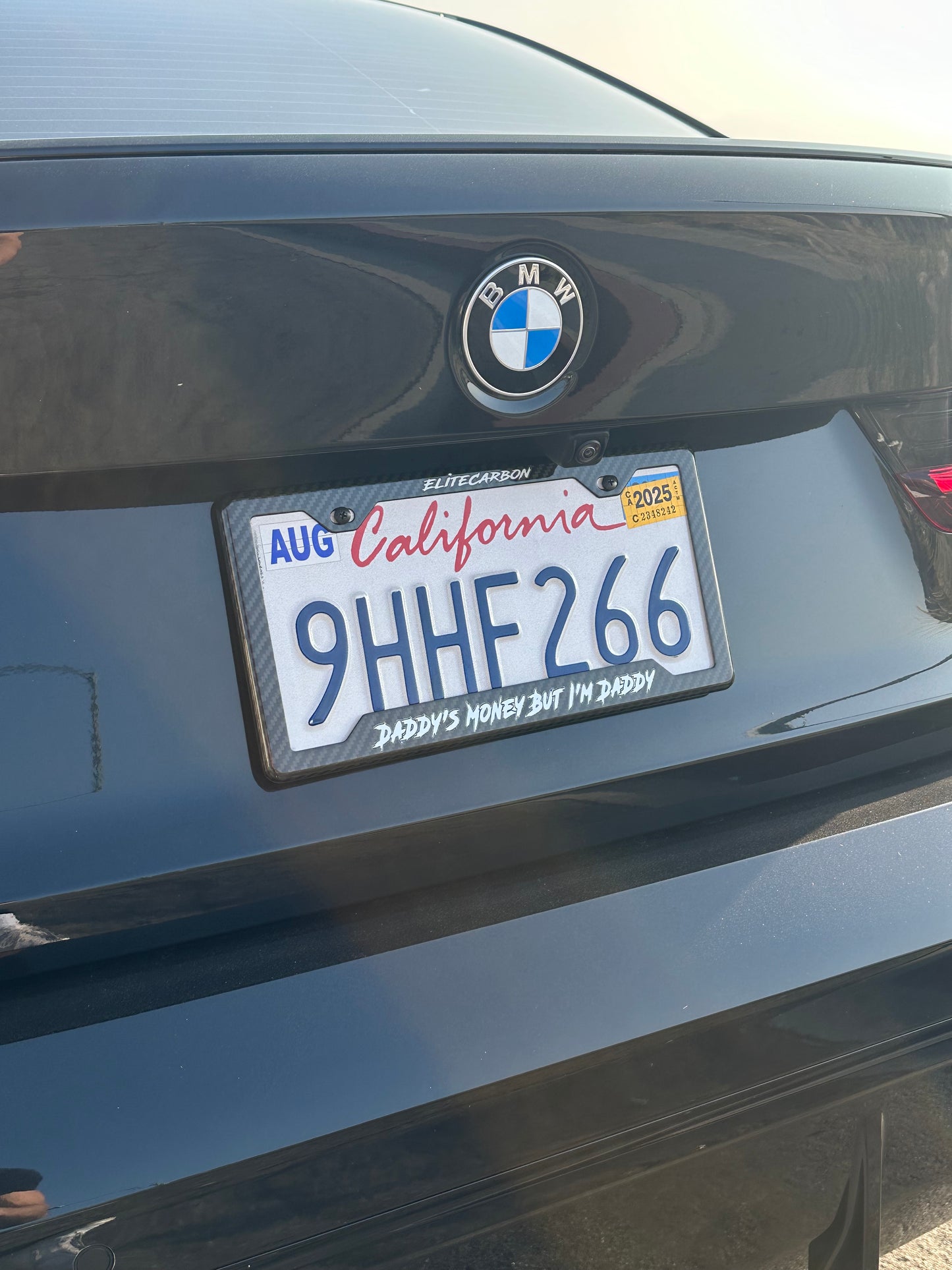 “Daddy's Money But I'm Daddy" Carbon Fiber Plate Frame